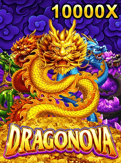 mmr1144